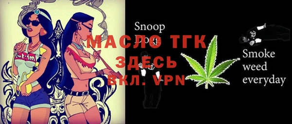 гидра Кодинск
