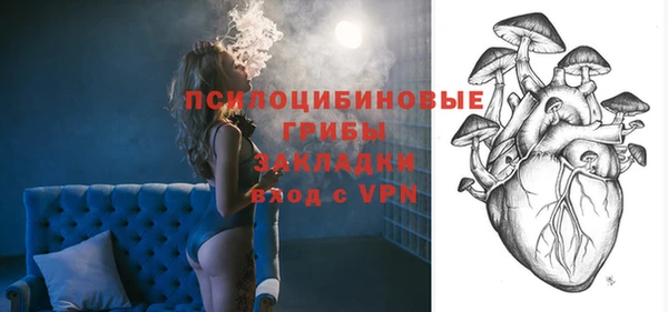 гидра Кодинск