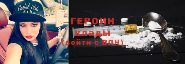 гидра Кодинск