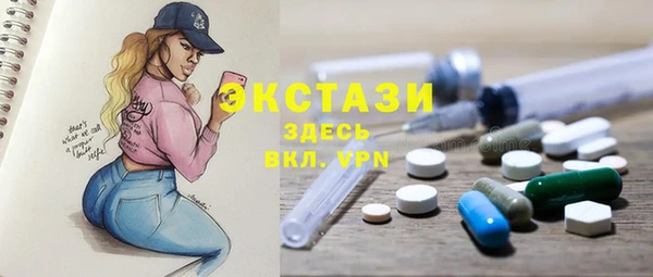 гидра Кодинск