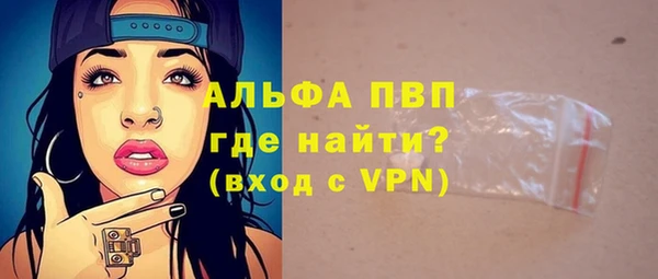 гидра Кодинск