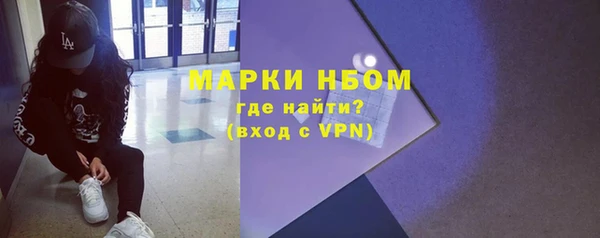 гидра Кодинск