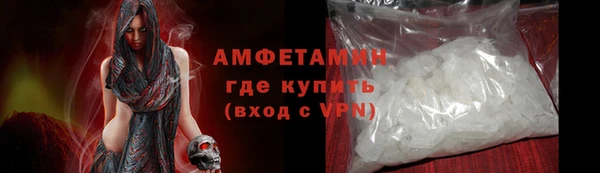 гидра Кодинск