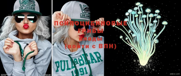 гидра Кодинск