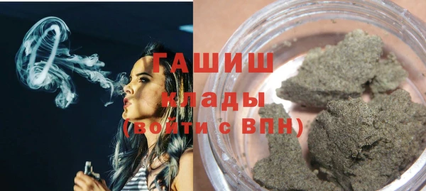 гидра Кодинск
