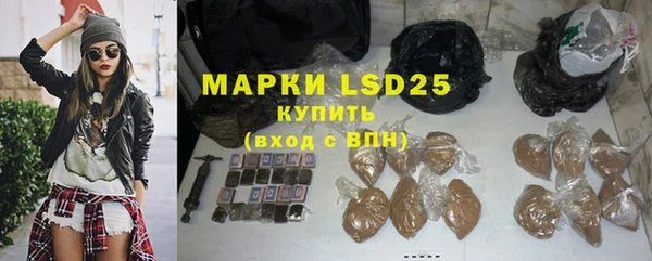 гидра Кодинск