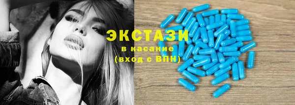 гидра Кодинск