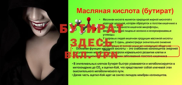 гидра Кодинск