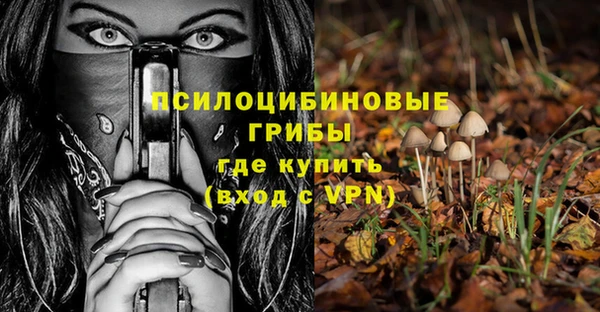 первитин Козельск