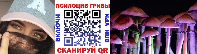 Галлюциногенные грибы ЛСД  Купить  Онега 